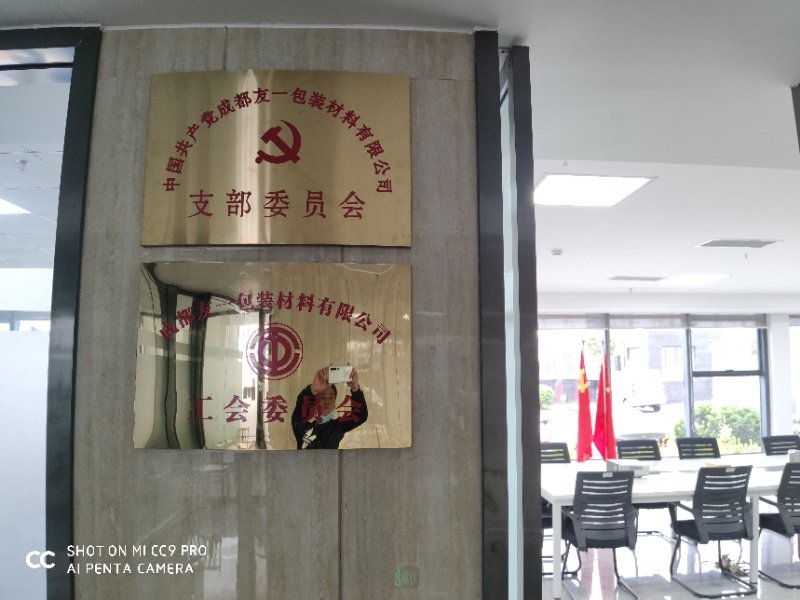 热烈祝贺XPJ官方网站集团成都分公司党支部在2020年3月11日授牌成立，支部书记曹云(行政部经理)